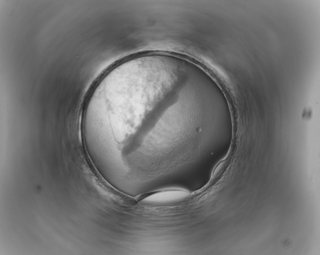 X0000091581272200709101010