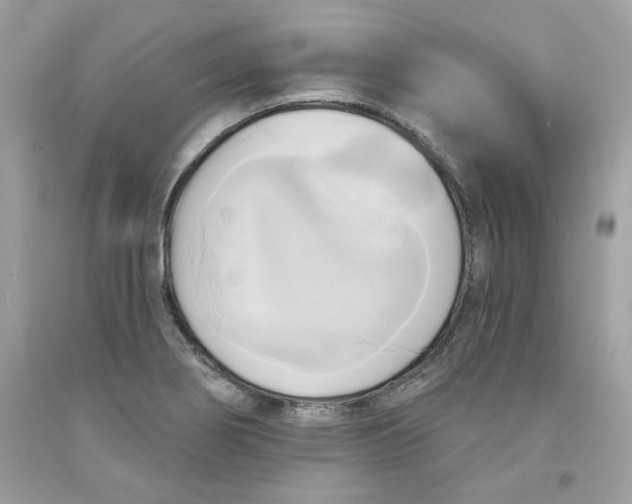 X0000091581274200709101010