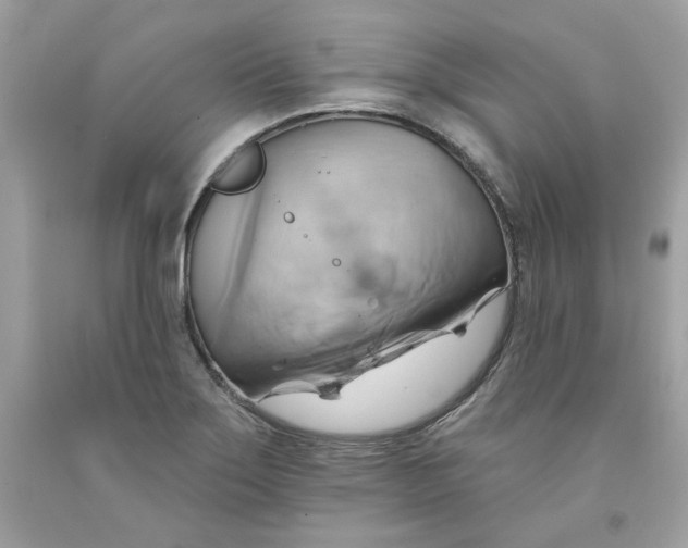 X0000091581275200709101010