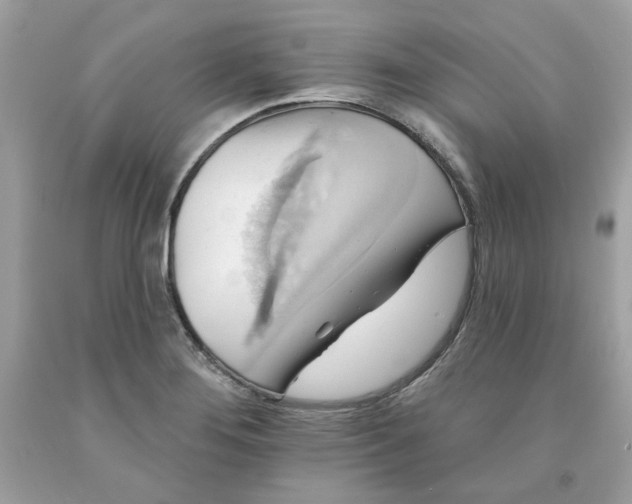 X0000091581276200709101010