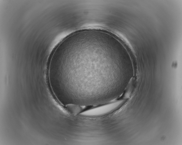 X0000091581277200709101010