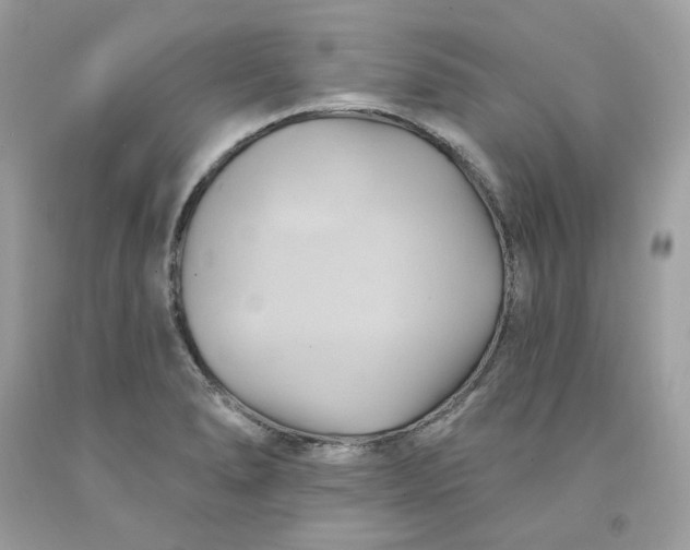 X0000091581278200709101010