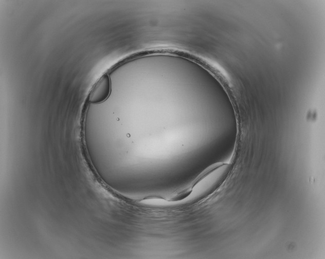 X0000091581279200709101010