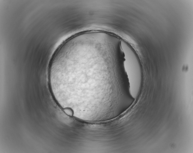 X0000091581280200709101010