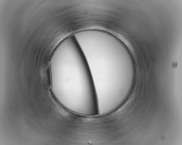 X0000091581281200709101010