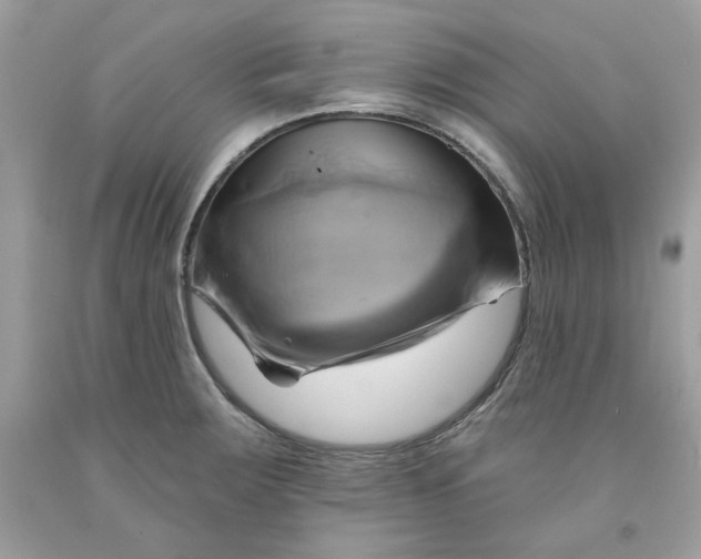 X0000091581283200709101010