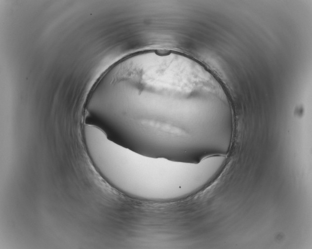 X0000091581284200709101010