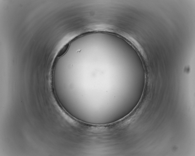 X0000091581285200709101010