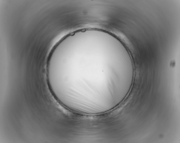 X0000091581286200709101010