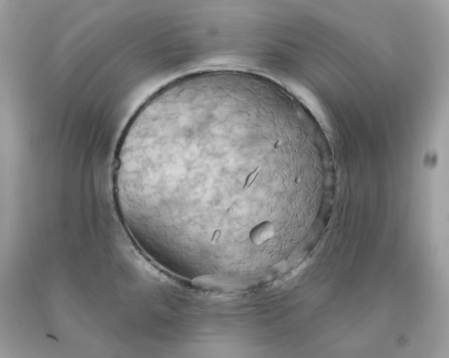 X0000091581288200709101010