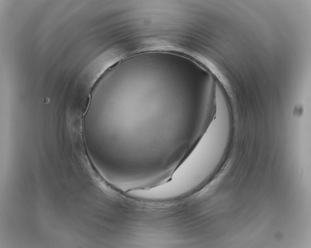 X0000091581289200709101010