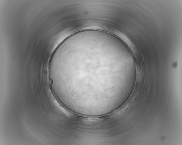 X0000091581290200709101010