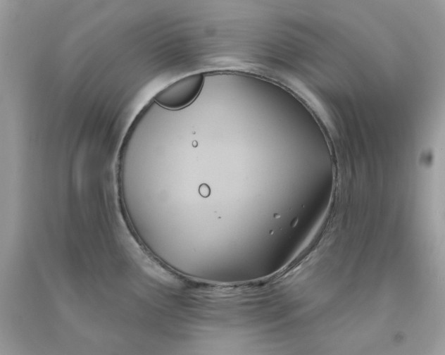 X0000091581291200709101010