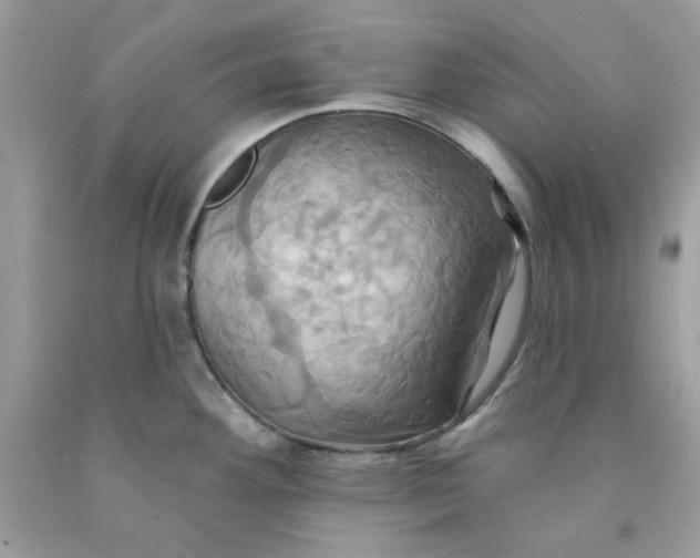 X0000091581292200709101010