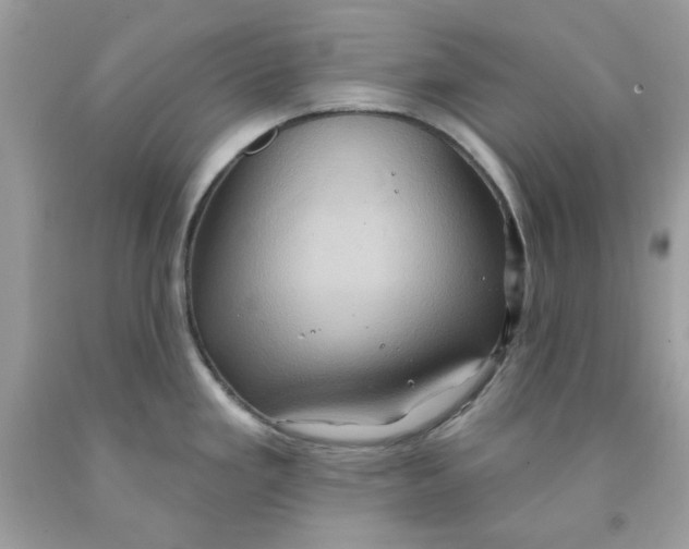 X0000091581293200709101010