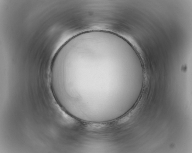 X0000091581294200709101010