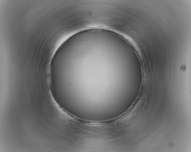 X0000091581295200709101010