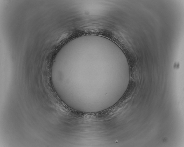 X0000091581297200709101009