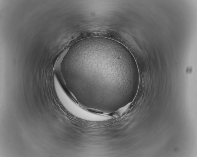 X0000091581298200709101010