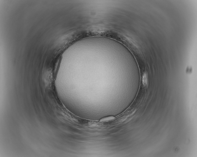 X0000091581299200709101010