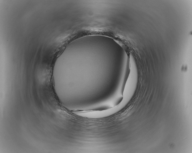 X0000091581300200709101010