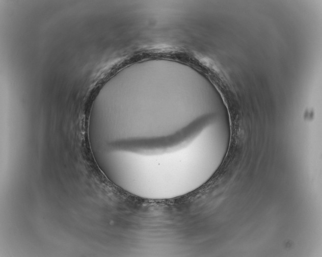 X0000091581301200709101010