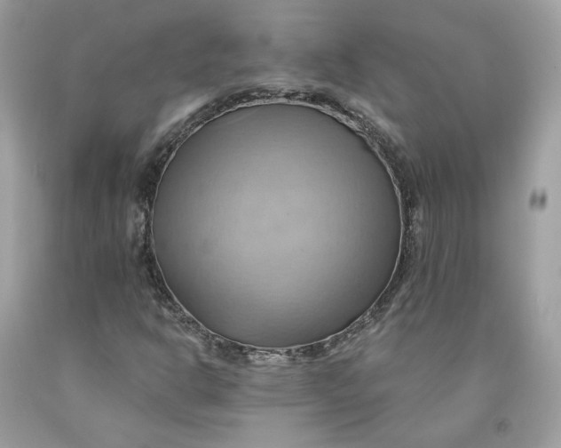 X0000091581302200709101010