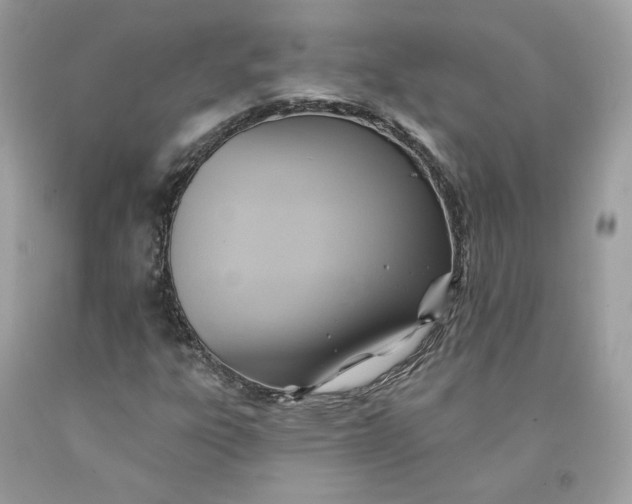 X0000091581303200709101010