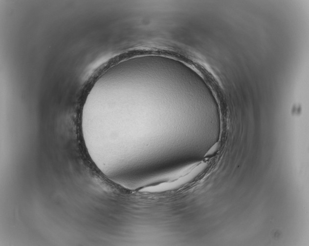 X0000091581304200709101010