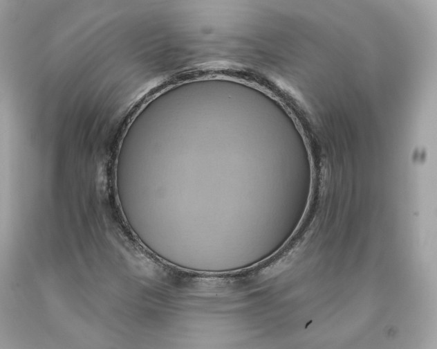 X0000091581305200709101010