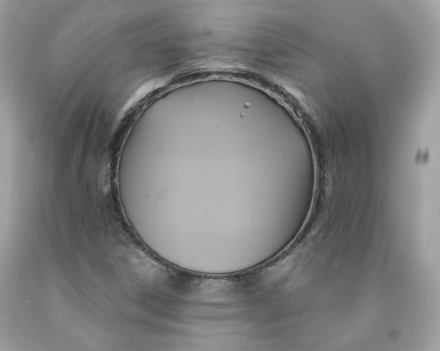 X0000091581306200709101010