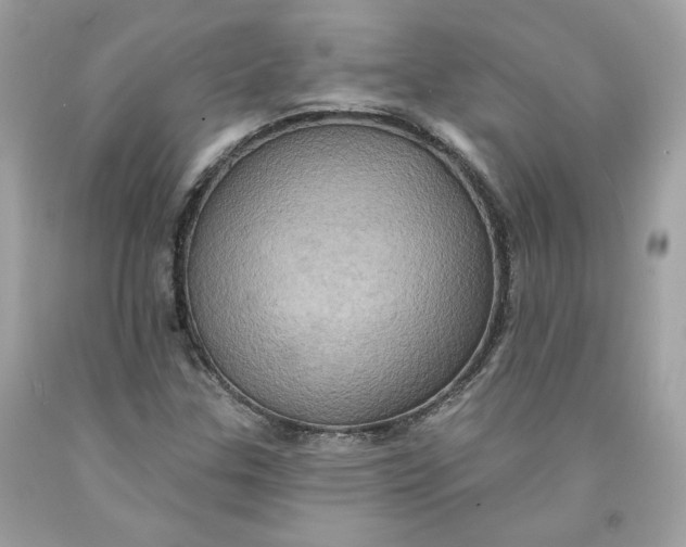 X0000091581307200709101010