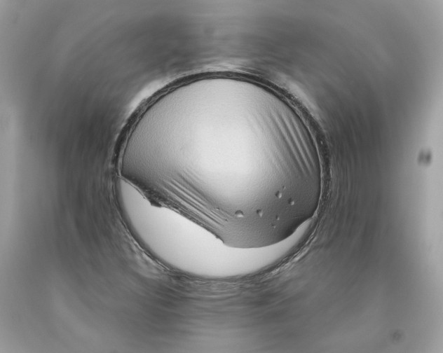 X0000091581308200709101010