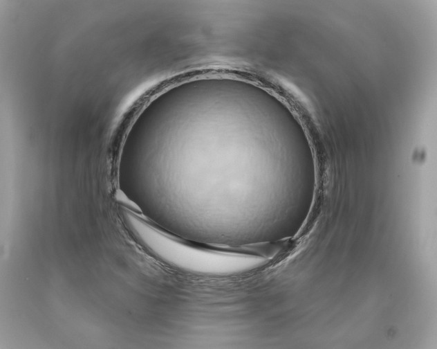 X0000091581310200709101010