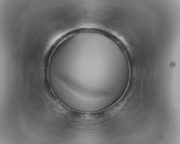 X0000091581311200709101010