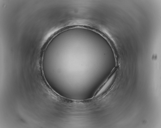 X0000091581312200709101010