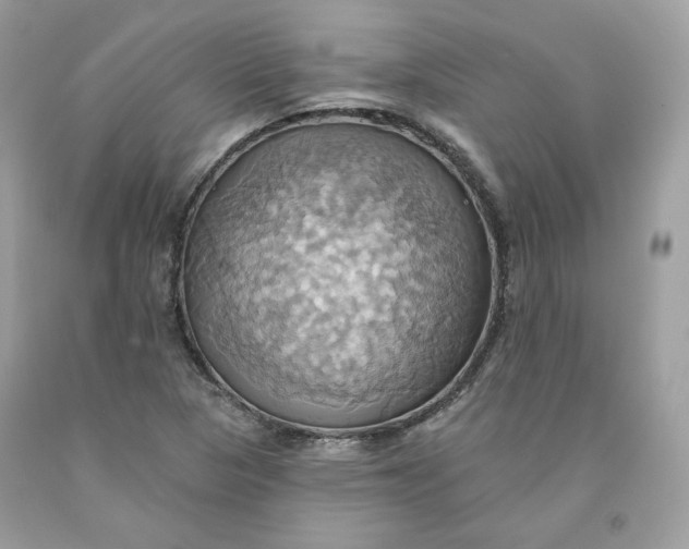 X0000091581313200709101010