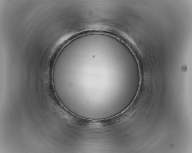 X0000091581315200709101010