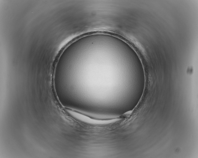 X0000091581316200709101010