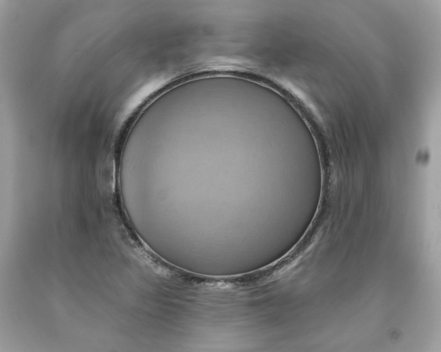 X0000091581317200709101010