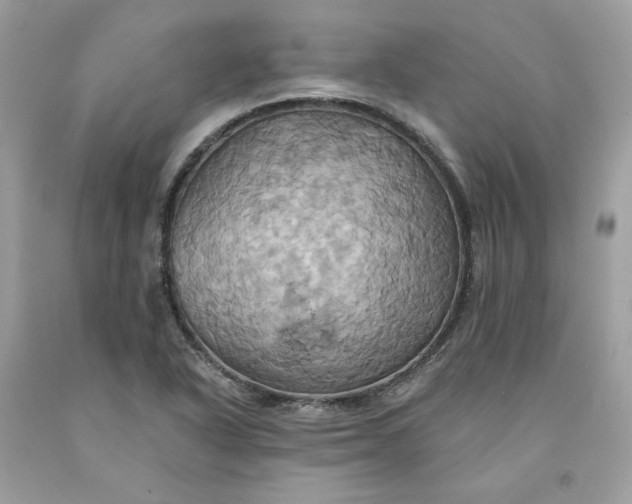 X0000091581318200709101010