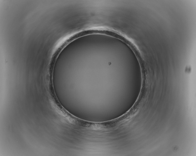 X0000091581319200709101010