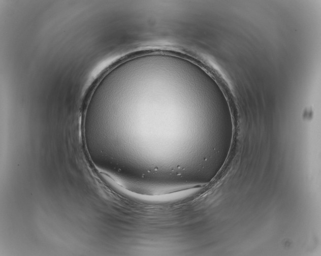 X0000091581320200709101010