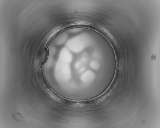 X0000091581321200709101010