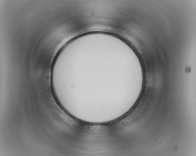 X0000091581322200709101010