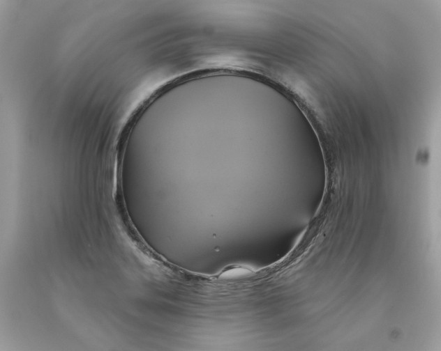 X0000091581323200709101010