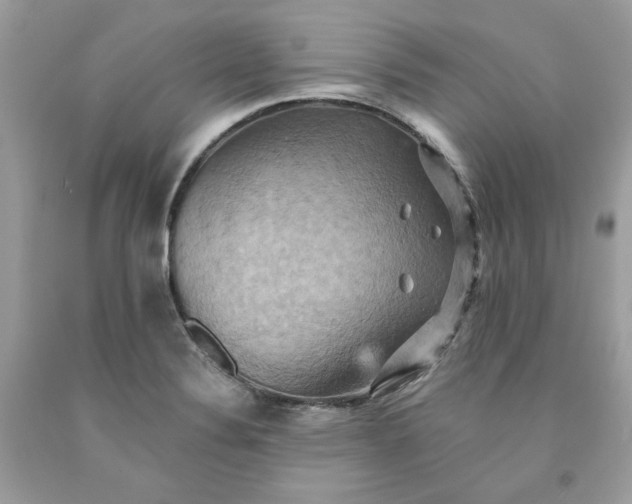 X0000091581324200709101010