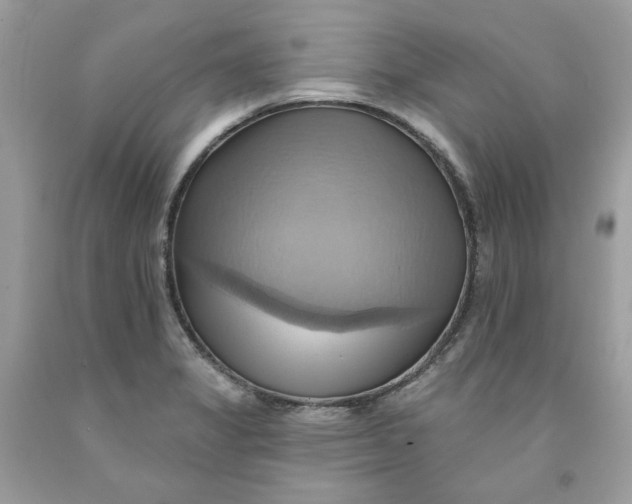 X0000091581325200709101010