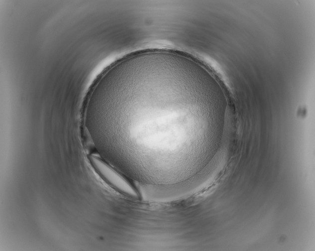 X0000091581326200709101010