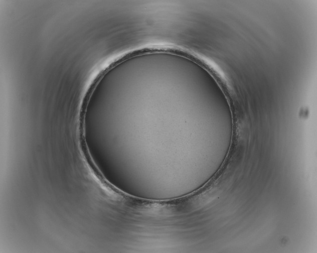 X0000091581327200709101010